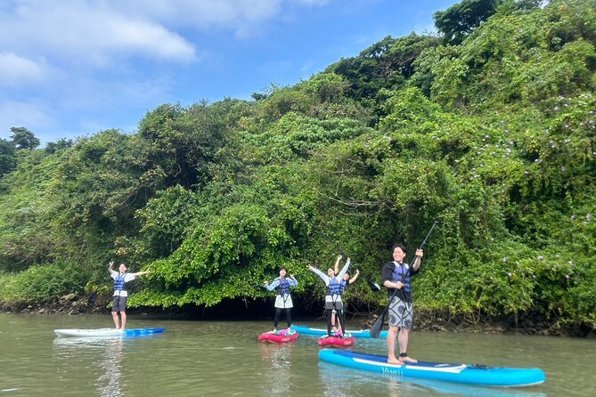Mangrove SUP in Okinawa - Tour Details and Pricing