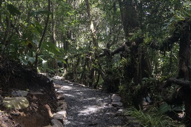 Monteverde Local Experience Guided Tour From Monteverde - Tour Inclusions