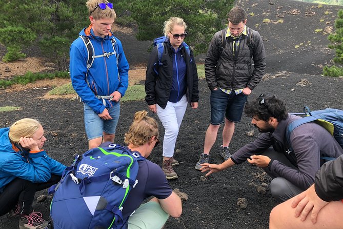 Mount Etna Half-Day Tour - Small Groups From Taormina - Itinerary Highlights