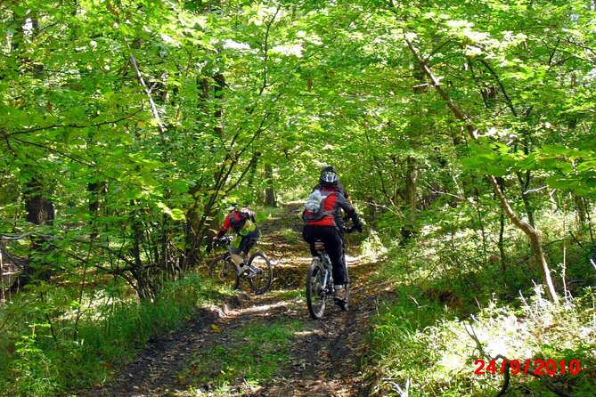 Mountain Bike Day Tour Around Brasov - Location and Meeting Point