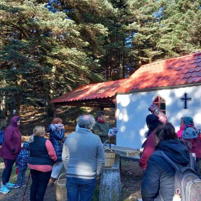 Mushroom Hunting - Experience Description