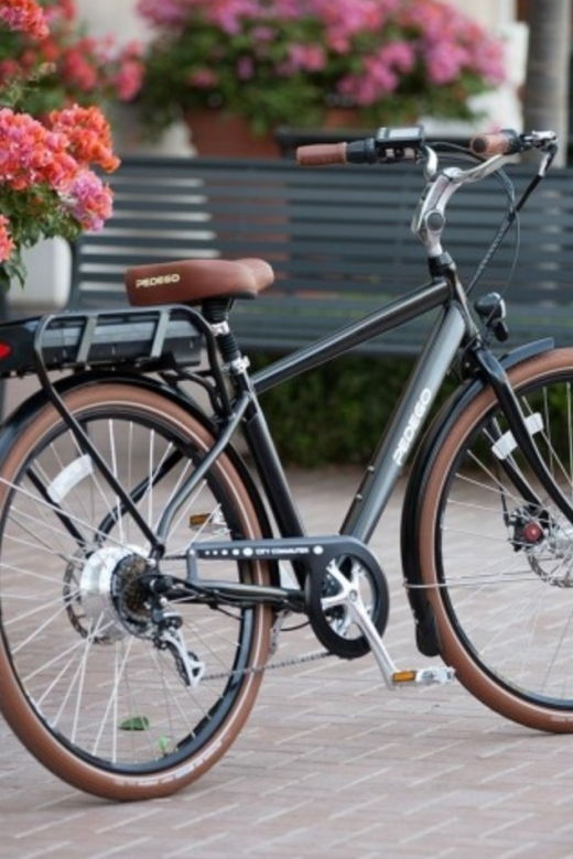 Norfolk: Electric Bike Rental