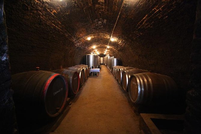 Novi Sad and Sremski Karlovci Private Tour With Wine Tasting - Itinerary Highlights