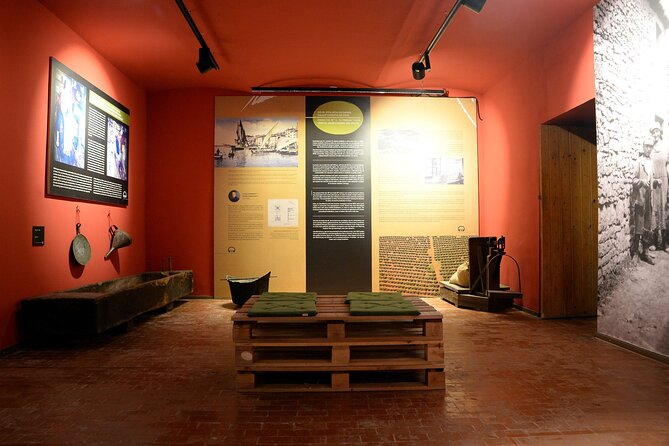 Olive Oil Guided Tasting and History in Pula - Tasting Experience