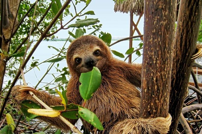 Palo Verde National Park Boat Tour and Lunch