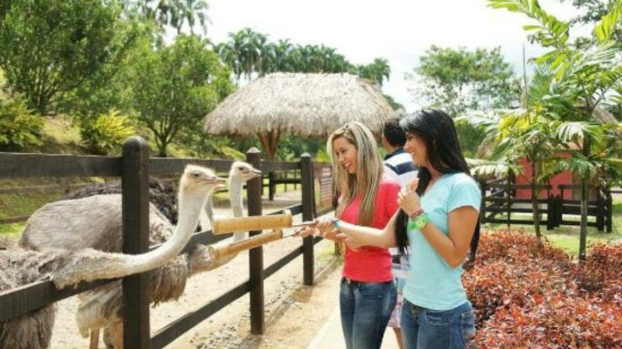 Panaca Park Tour From Pereira or Armenia - Experience Highlights and Pickup Service