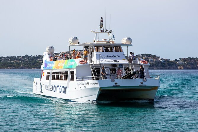 Paradise Tour 4h in Catamaran Through Mallorca and Puerto Andratx With Lunch - Tour Logistics