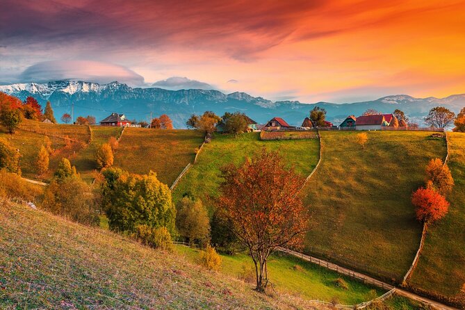 Pestera and Magura Full-Day Private Walking Tour From Brasov - Additional Information