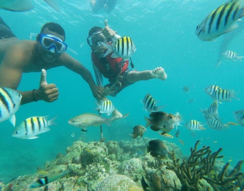 Playa Blanca: Daytour With Snorkeling and Racoon Sighting - Tour Inclusions