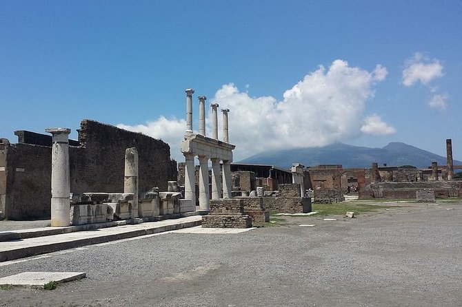 POMPEI in & OUT - 3 Hours Relaxed Private Tour - Booking and Reservation Information