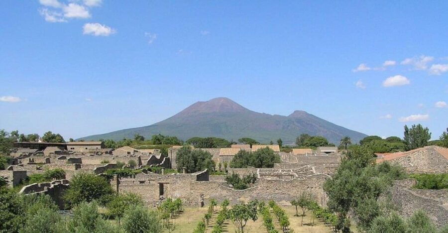 Pompeii With Wine Tasting Private Tour - Itinerary