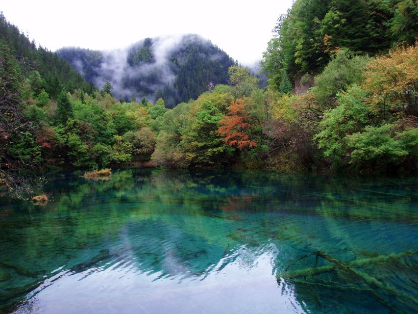 Private 5-Day Amazing Trip: Chengdu and Jiuzhaigou - Itinerary Overview