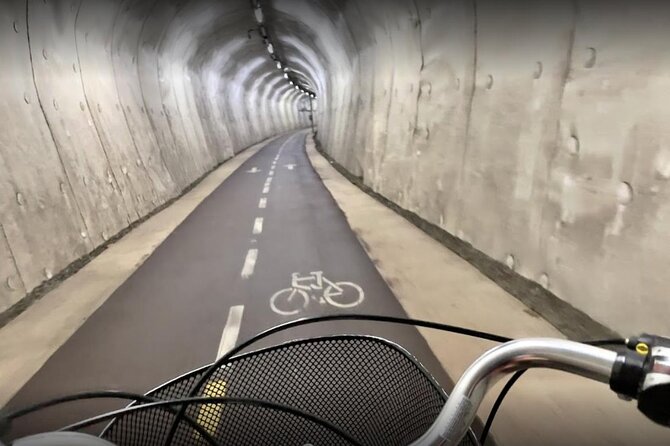 Private Bike Tour in San Sebastián With Pintxo and Drink - Tour Details