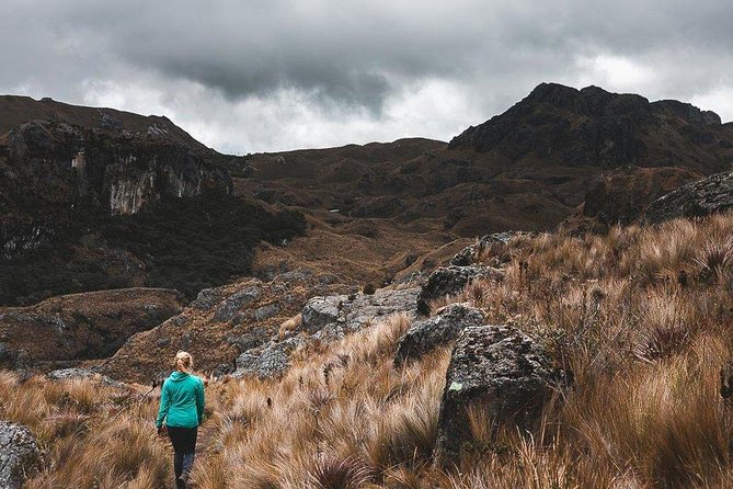 Private Cajas National Park Full Day Tour - Meeting and Pickup