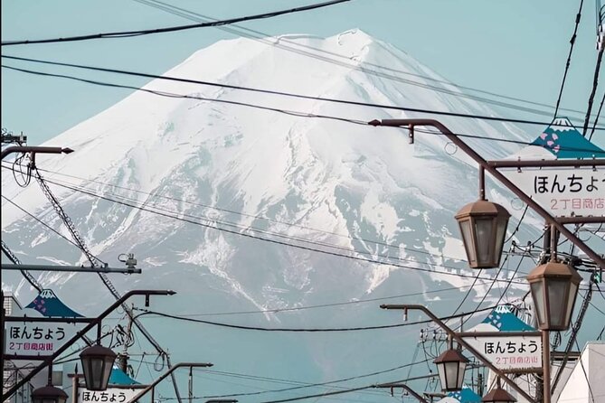 Private Day Tour in Mount Fuji From Tokyo - Tour Details