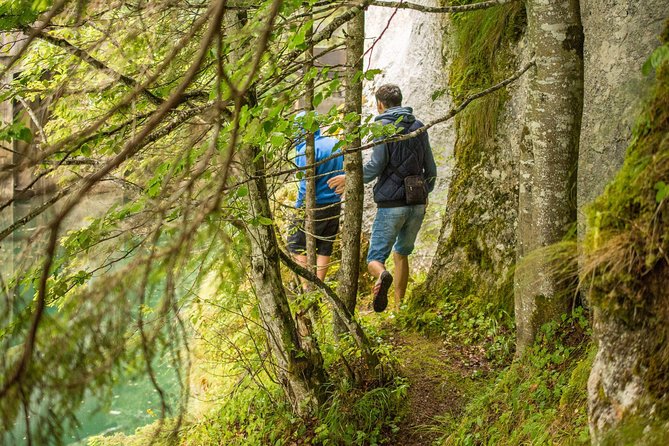 Private Daytrip Hike to Bucegi Mountains - What To Expect