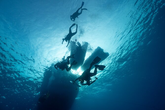 Private Discovery Scuba Diving With Sea Turtles - Cancellation Policy