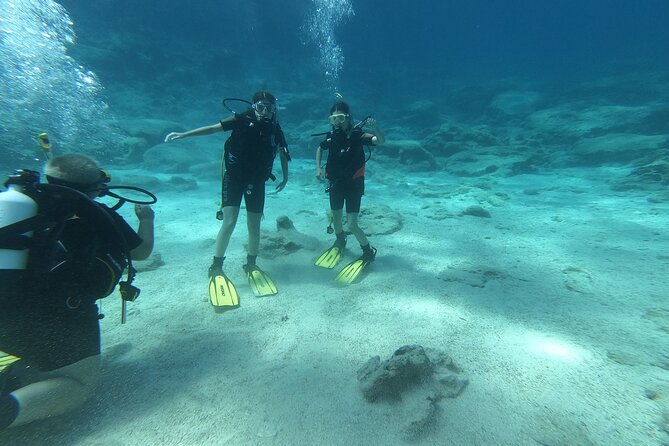 Private Diving Cyprus Experience Protaras and Ayia Napa & Turtles - Equipment and Safety