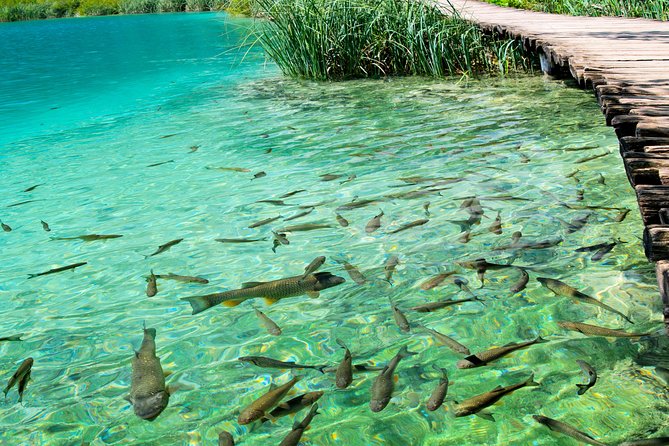 Private Eclectic Experience of Rastoke and Plitvice Lakes National Park - Tour Overview