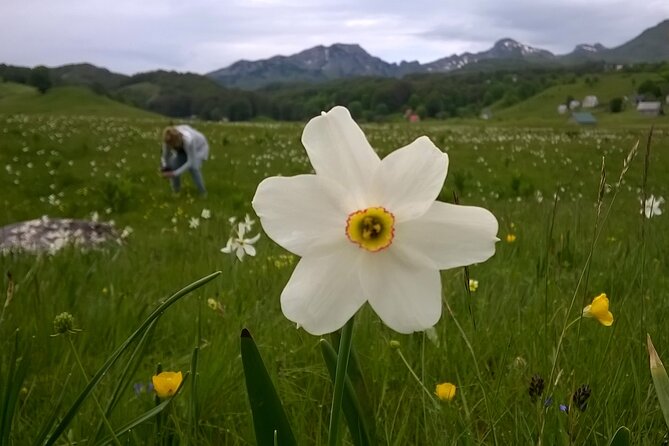Private Full-Day Tour in Moraca and Tara Canyons, Durmitor & Biogradska Gora NP - Customer Reviews