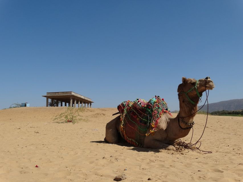 Private Full Day Udaipur City Tour (All-Inclusive)