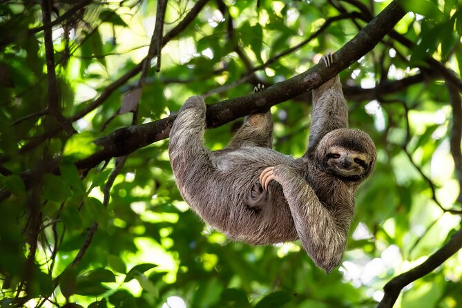 Private Half Day Tour Mombacho Cloud Forest From Granada - Private Tour Experience