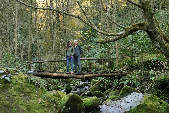 Private Hiking Tour to Mtirala National Park From Batumi - Tour Details
