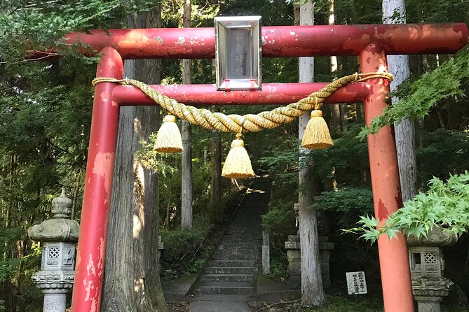Private Hiking Tour to View Mt. Fuji - Inclusions and Meeting Details