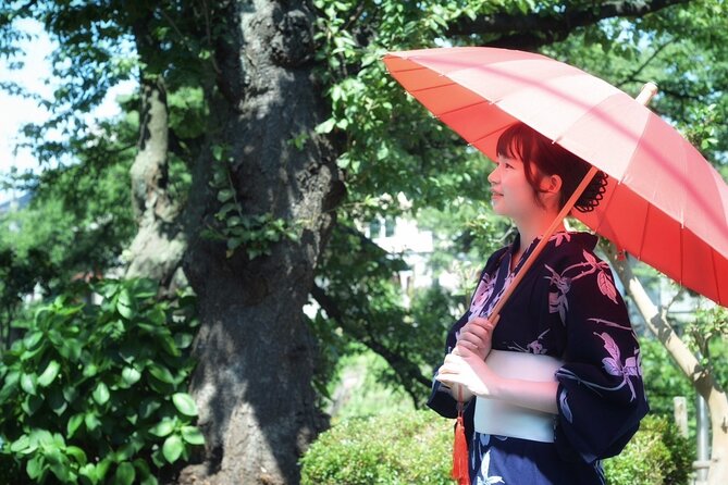 Private Kimono Stroll in Toyama City Possibly With a Shiba Inu - Activity Details