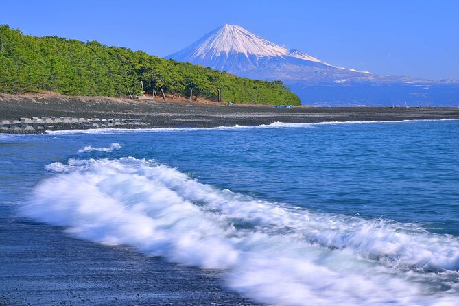 Private Sightseeing Tour in Shimizu Port by Sedan Taxis - Tour Location