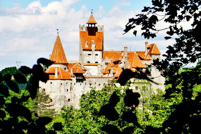 Private Tour to Draculas Castle, Peles Castle From Bucharest - Tour Highlights