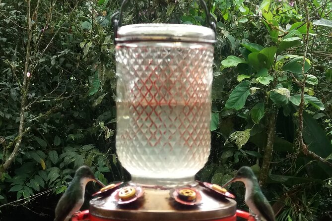 Private Tour to Mindo With Hummingbird Reserve, Tarabita and Butterfly Farm - Tour Inclusions