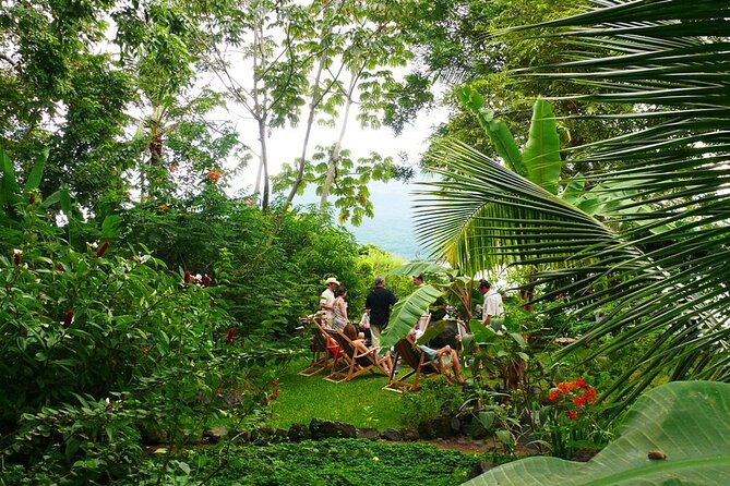 Private Tour to Zopango Island With Fish Lunch, Swim & Kayak - Tour Highlights