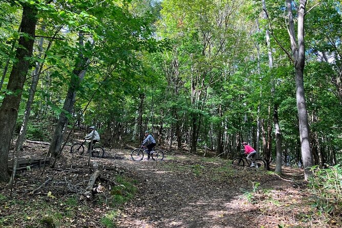 Private Visit Local Bike Park & Mountain Biking in Sapporo - Additional Important Information