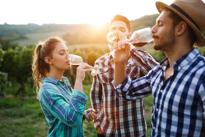 Romanian Wine Tasting - Meeting and Pickup