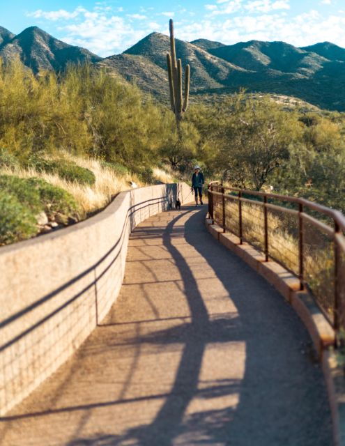 Saguaro National Park: Day Tour & Hike - Good To Know