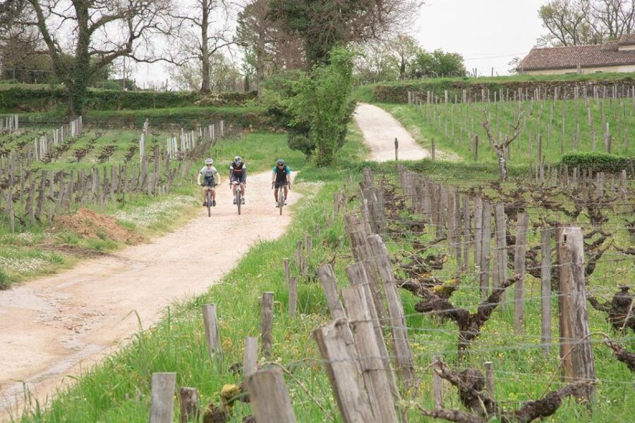 Saint-Émilion by Gravel Bike : Wine Tasting & Picnic - Good To Know