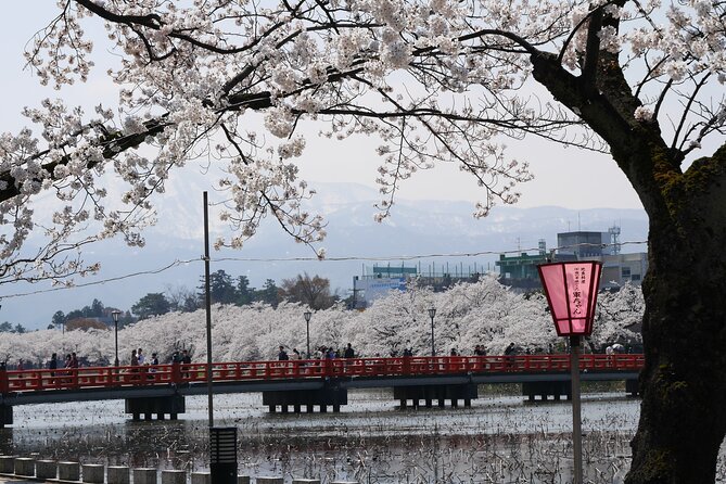 Sakura Park and Old Town Private Tour - Price Information