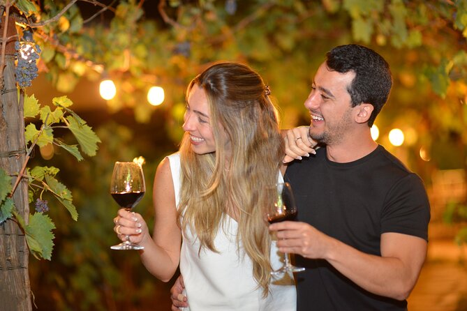 San Gimignano Dinner in the Vine Rows and Wine Tasting - Menu Highlights
