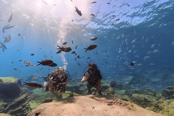 Scuba Diving Experience + Free Video - Pricing Details and Guarantee
