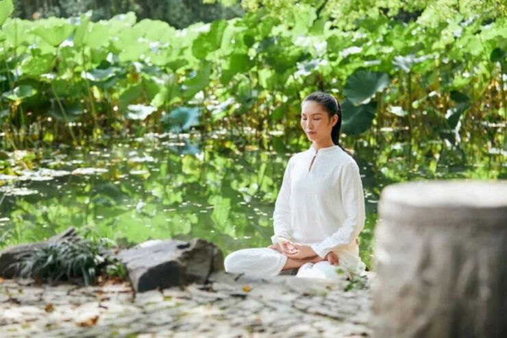 Shanghai Yu Garden Tour：Harmony & Spirituality in Garden Art - Garden Design Principles
