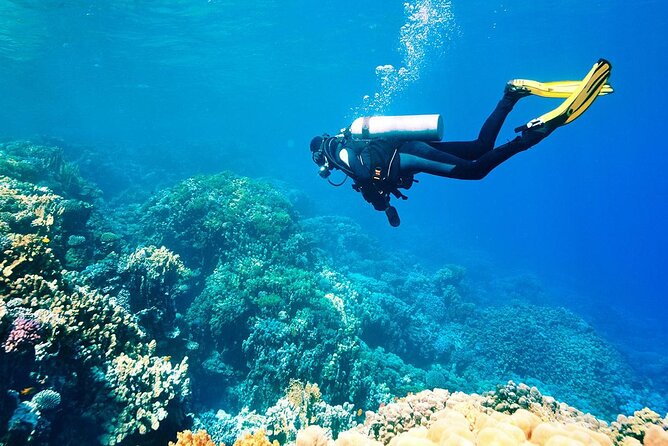 Shared Scuba Diving Experience on Easter Island One Dive Only - Additional Information