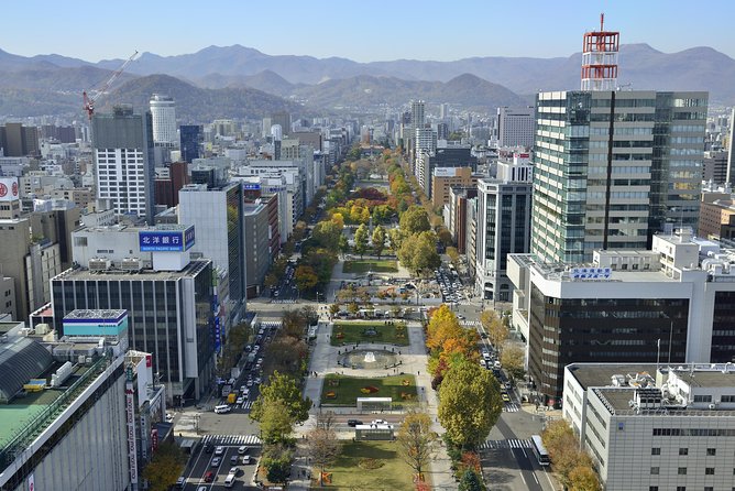 SkyExpress: Sapporo Customised Private Day Tour (Up to 15 Passengers) - Inclusions