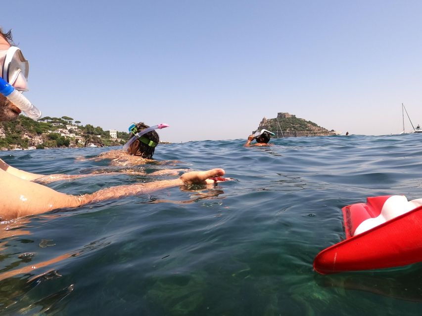 Snorkeling Experience in Ischia With Local Guide