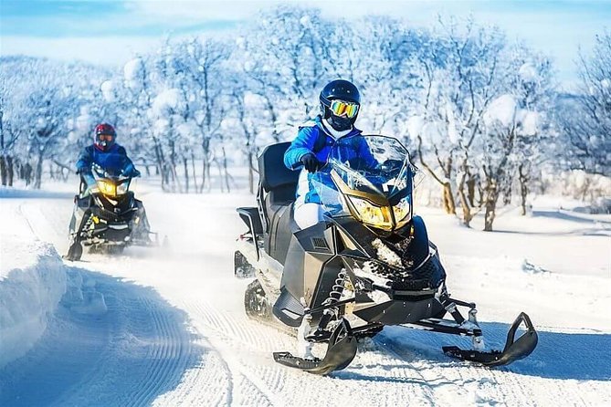 Snow Experience In Ski Resort Bakuriani, Private Full Day Tour - Tour Highlights
