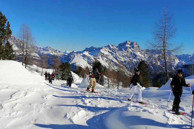 Snowshoe Hike to the Cinque Torri - Activity Duration: Full Day
