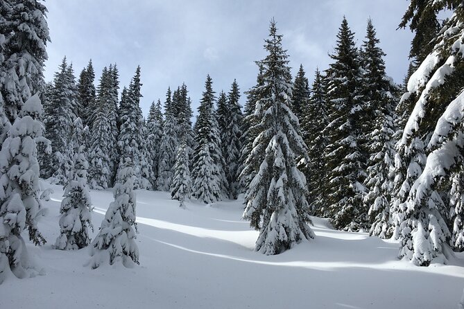 Snowshoeing Day Trip From Bansko to Rhodope Mountains - What to Expect