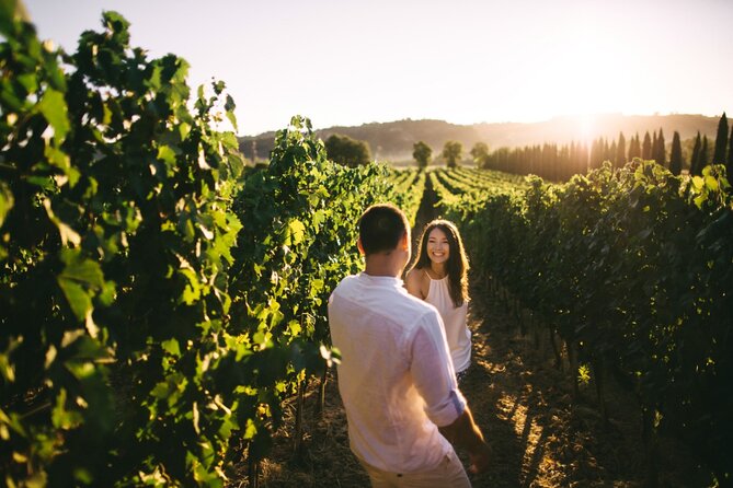 Stancija Collis: A Winery Adventure Tour in Rovinj - Scenic Vineyard Views