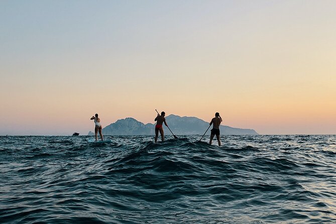 Stand Up Paddle Experience - Sorrento Coast - Meeting and Pickup Details