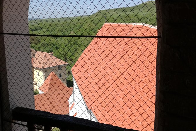 Székely Land Countryside and Sighisoara One Day Trip - Tour Overview